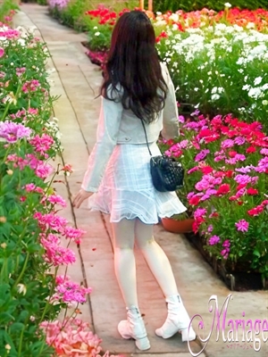 Photo.3